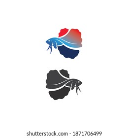 Fish animal aquatic logo beta fish design vector and illustration