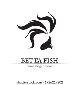 Fish animal aquatic logo. Beta fish design vector and illustration