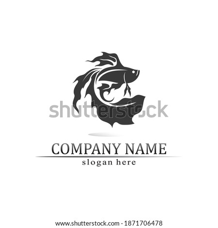 Fish animal aquatic logo beta fish design vector and illustration