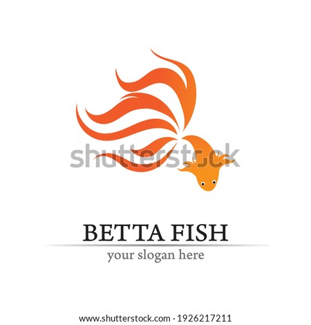 Fish animal aquatic logo. Beta fish design vector and illustration