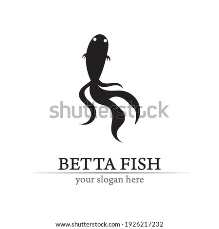 Fish animal aquatic logo. Beta fish design vector and illustration