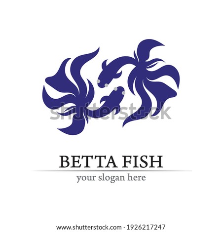 Fish animal aquatic logo. Beta fish design vector and illustration