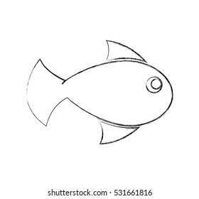fish animal isolated icon vector illustration design