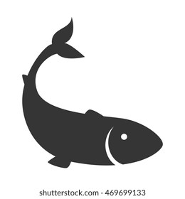 fish animal sea aquatic aquarium swim silhouette nature ocean vector  illustration isolated