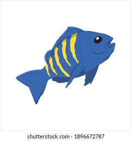 Fish For Animal Vector Illustration