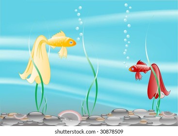 fish in aquarium