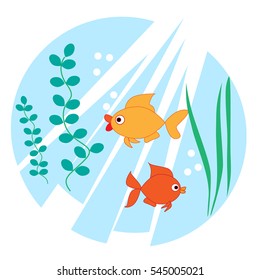 the fish in the aquarium