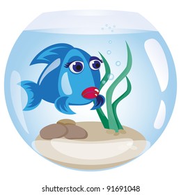 Fish in an aquarium