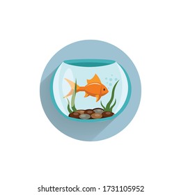 fish in aquarium colorful flat icon with long shadow. aquarium fish flat icon