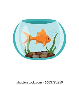 fish in aquarium illustration design element. sea life flat icon.