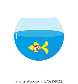 Pescado en el acuario aislado de fondo blanco.