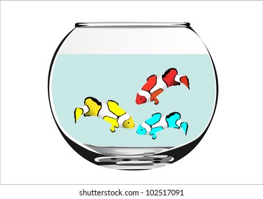 fish in aquarium on a white background