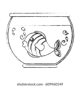 fish in aquarium pet