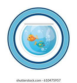 fish in aquarium pet