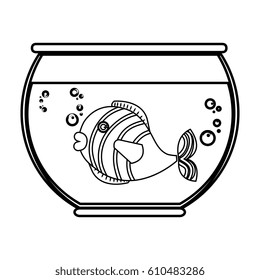 fish in aquarium pet