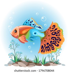 Fish aquarium. Poecilia reticulata. Vector illustration.