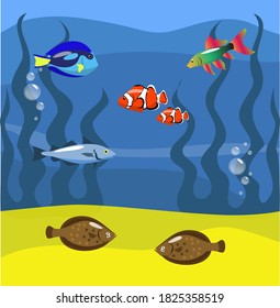 
fish in aquarium vector graphics