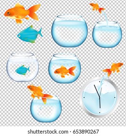 Fish And Aquariums Set Gradient Mesh, Vector Illustration