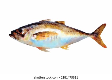 Fish art isolated on white background watercolor vector illustration Wildlife in sea Exotic ocean cartoon art decoration for greeting cards or logo design