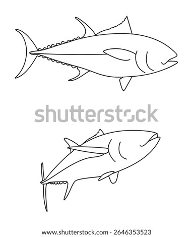 Fish Atlantic Bluefishs Tuna Fish Atlantic Bluefishs Tuna