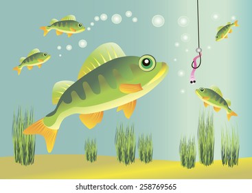 Fish, bait and seaweed at the bottom of the river.
