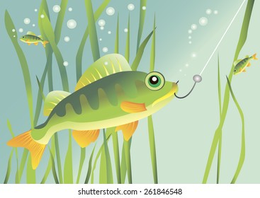 Fish, bait and seaweed at the bottom of the river.