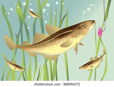 Fish and bait in water. Registration of sites, advertising shop selling fresh fish