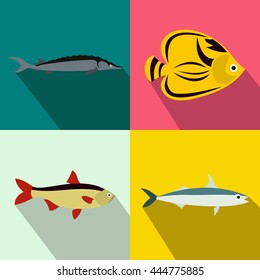 Fish banners set in flat style for any design