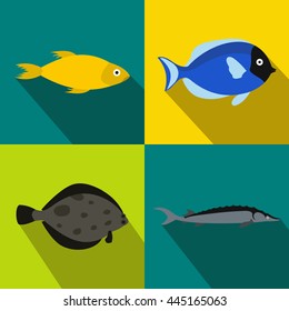 Fish banners set in flat style for any design