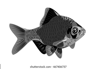Fish barb on a white background