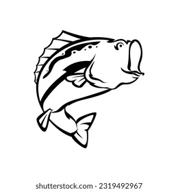 fish bass vector template in black and white