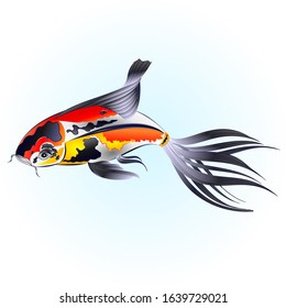Fish beautiful  Japanese  carp koi  traditional on water blue background watercolor vintage vector illustration editable hand draw