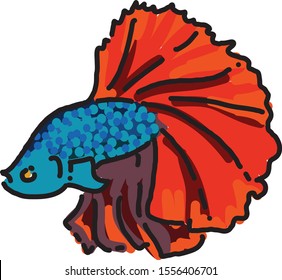fish, beta fish, beta, colorful, draw, vector