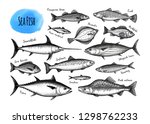 Fish big set. Ink sketches isolated on white background. Hand drawn vector illustration. Retro style.