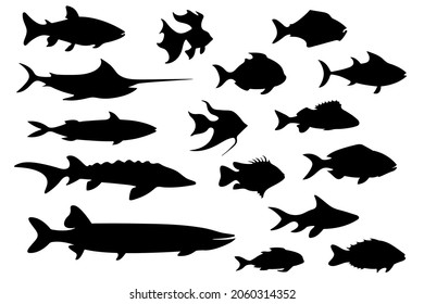 Fish black silhouette collection. Different kinds of fish. Vector design elements