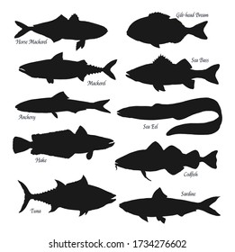 Fish black silhouettes. Sea animals horse mackerel, gilt-head bream or sea bass and anchovy, ocean eel, tuna, hake, codfish and sardine. Fishes types, fishing sport isolated vector objects