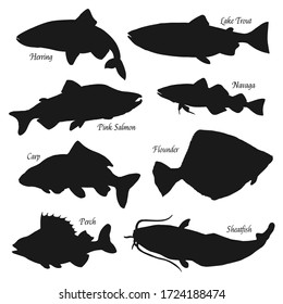 Fish black silhouettes vector icons, fish market and fishing. Sea herring, lake trout and perch, ocean pink salmon, river sheatfish and flounder, carp and navaga fish. Isolated on white