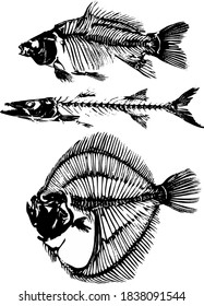 fish black skeleton | sketches for tattoo