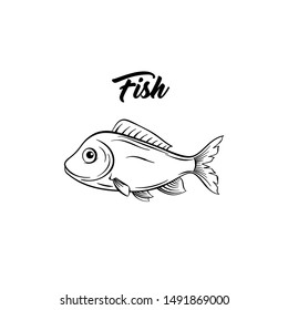 Fish black and white vector illustration. Marine animal with fins freehand sketch. Saltwater species, freshwater carp drawing. Healthy nutrition, gourmet menu ingredient. Seafood restaurant logo