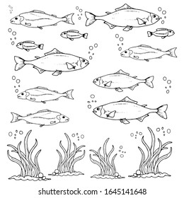 Fish in the blue sea hand drawn vector