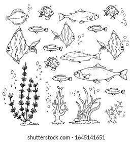 Fish in the blue sea hand drawn vector