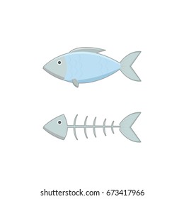 fish and fish bone object vector
