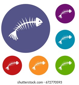 Fish bones icons set in flat circle reb, blue and green color for web