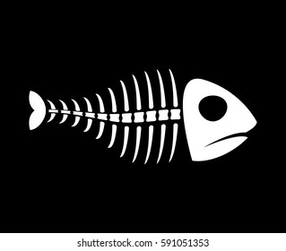 Fish bones isolated. fishy Skeleton on white background