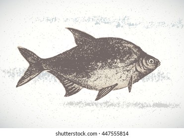 Fish bream, silhouette of a fish. Vector illustration painted by hand. 