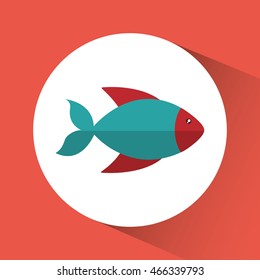 Fish cartoon over circle icon. Sea lifestyle. Colorfull Vector illustration