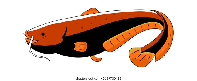 Fish Catfish vector. Clipart, colorful sea life illustration.