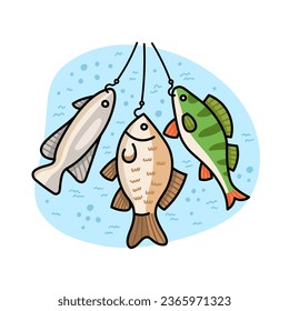 Fish caught on a hook - perch, crucian carp in doodle style isolated on a white background.