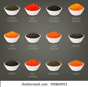 Fish Caviare Isolated On Plates. Set Of Seafood Thorn Or Stellate, Kaluga Sturgeon, King And Silver, Siberian And Pink, Red Salmon, Beluga And Sterlet, Trout Isolated. Food And Wealth, Roe, Nutrition