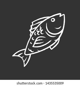 Fish chalk icon. Cafe, restaurant menu. Fish species. Underwater sea animal, seafood. Carp, trout, tuna dish. Healthy nutrition. Diet food. Isolated vector chalkboard illustration